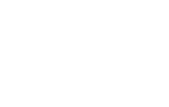ILI Mentoring+
